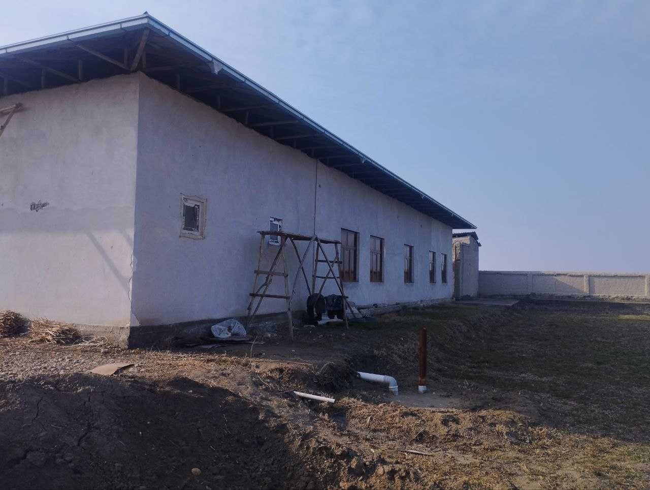 Navoiy viloyati, Navbahor tumanida Dala shiypon binosi sotiladi