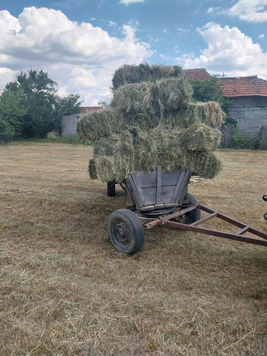 Vând baloti de fân și baloti de paie