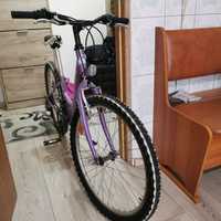 Vand bicicleta mov