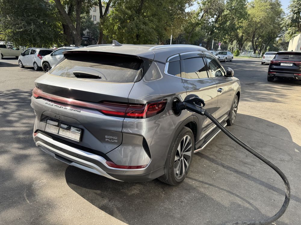 Byd song plus champion dmi