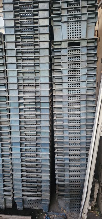 Продаются ящики пластиковые 100штук по 2000тг за ящик