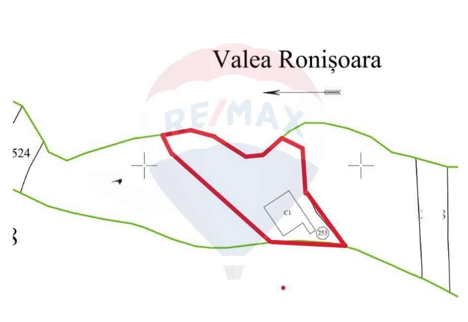 Afacere la cheie în creșterea porcinelor – Rona de Jos