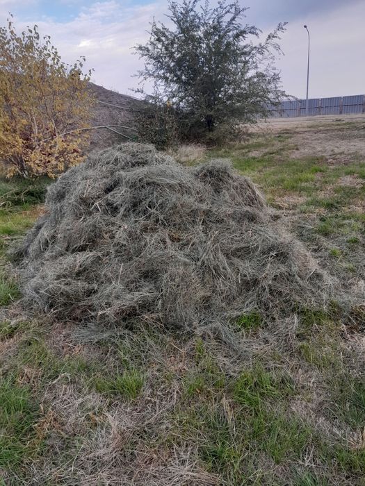 Сено для животных, кроликов.