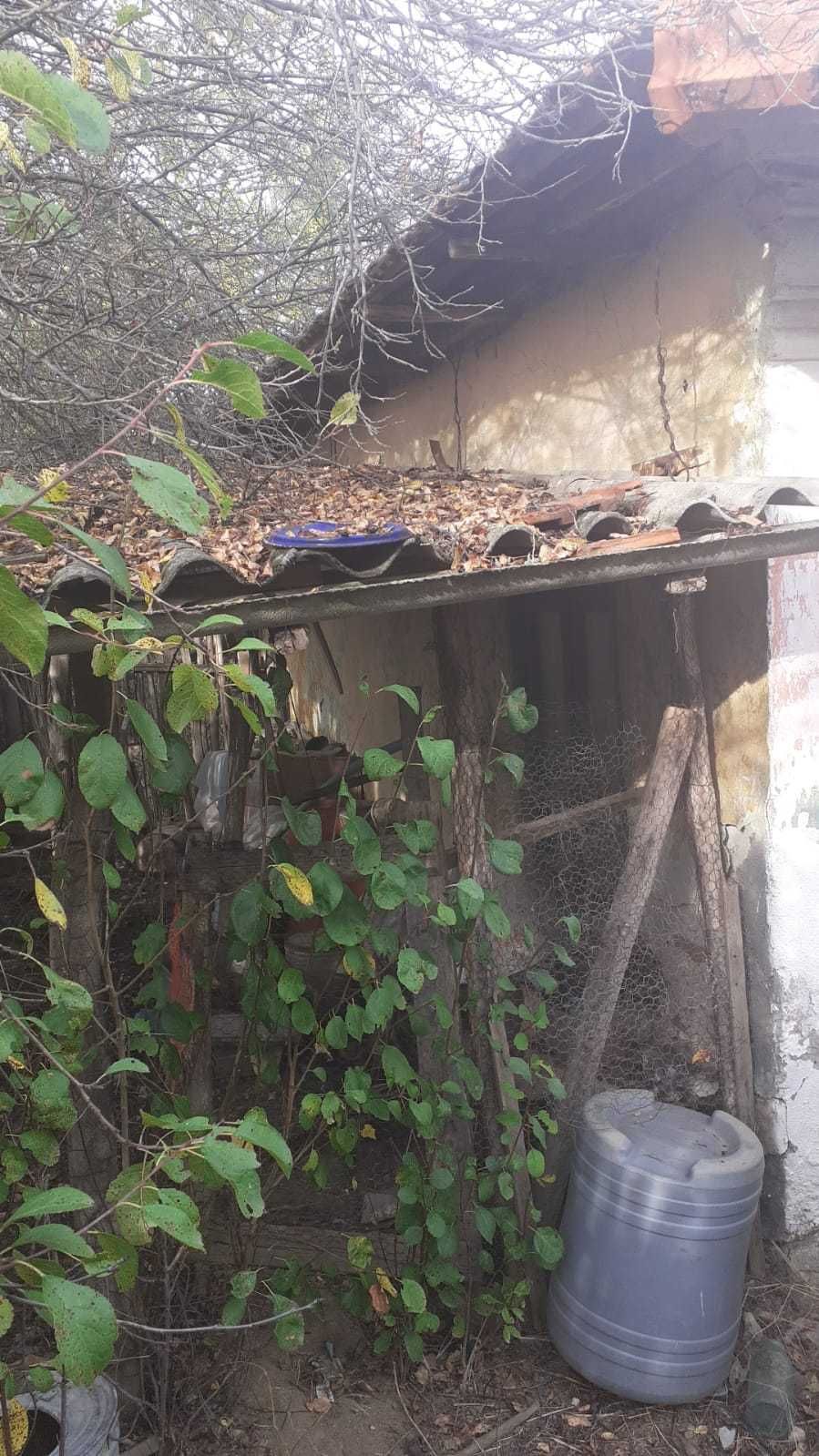 Vand casa si anexe in comuna Goiesti-Dolj