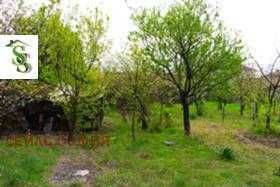 Дава се под наем Заведение в с. Радиново, Област Пловдив - 1000 кв.м за 510 € - Снимка #4