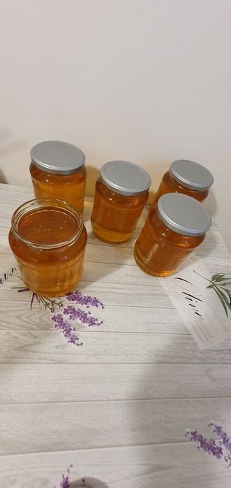 Miere de salcâm 2024 și Miere poliflora