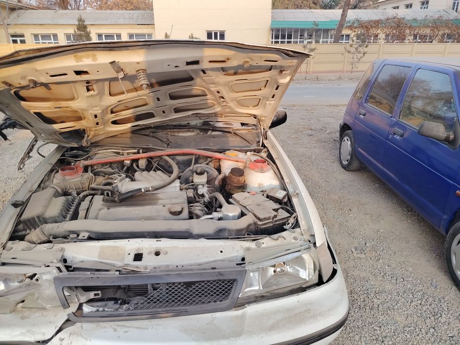 Nexia donc avarenniy