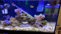 Аквариум EHEIM Aquastar Marine 63L + поставка + пълно оборудване