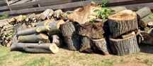 Lemne pt foc de vânzare, nuc și fag, 600 lei metrul cub