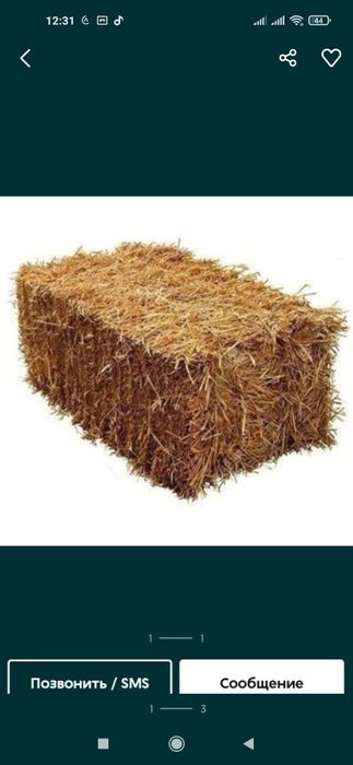 Somon pres Сомон