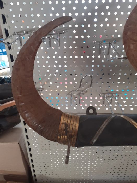 Старинна  закачалка  от  рога