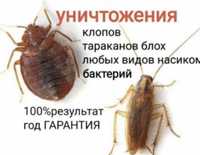 Дезинфекция от любых насекомых