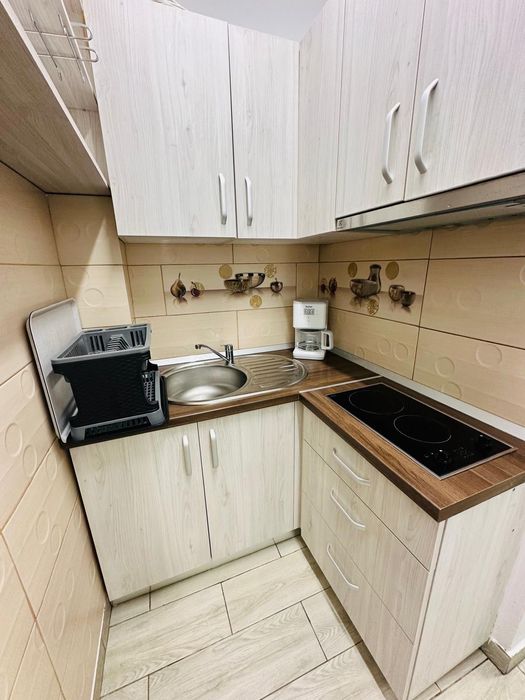 Închiriez garsoniera,Vasile Aaron