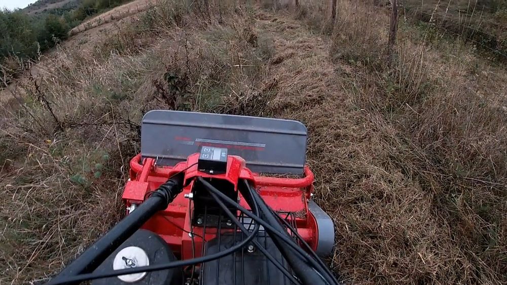 Curatare cosire defrisare gradina teren  cosit iarba tocare arbusti