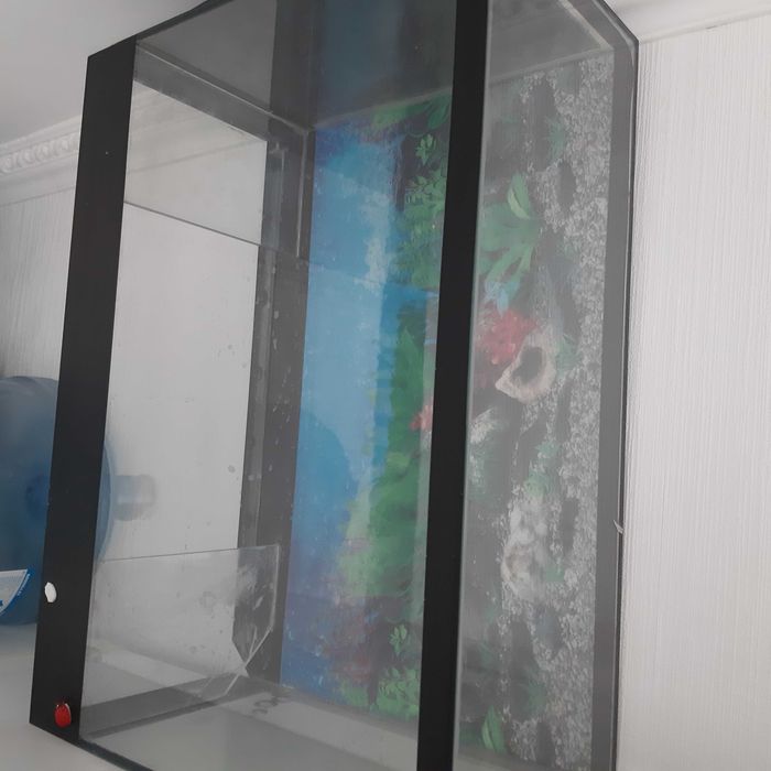 Аквариум для рыб на 30 л недорого продаю.