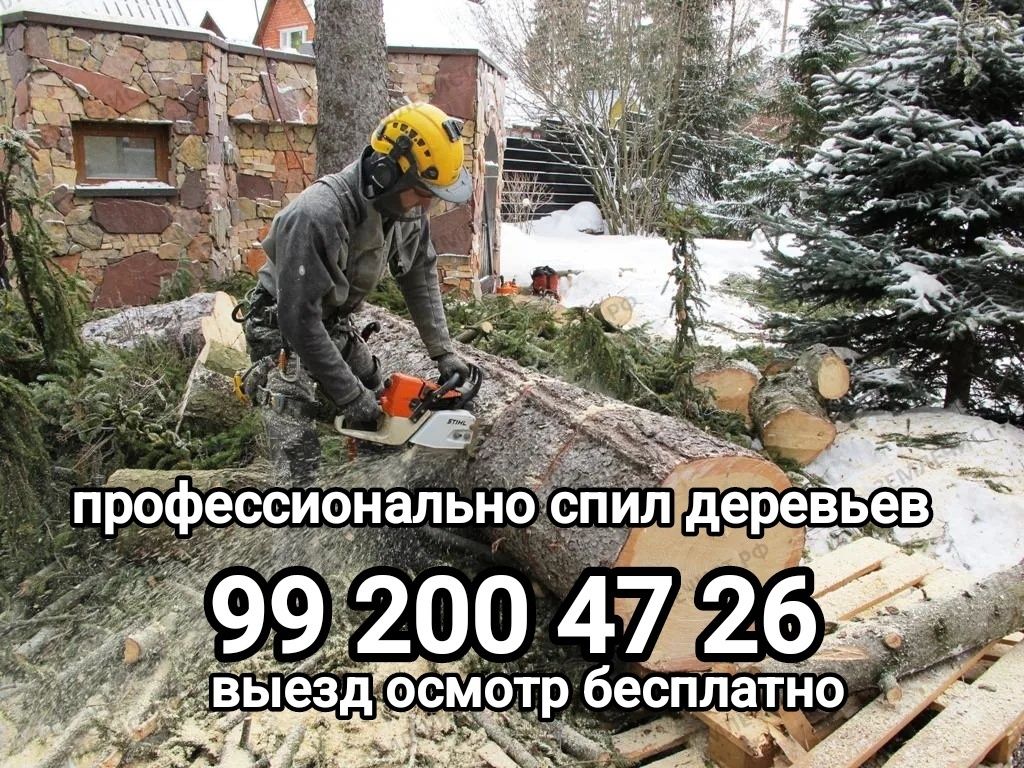 Спил обрезка деревьев любой сложности