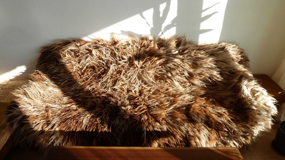 Китеник/ Губер/ Халище