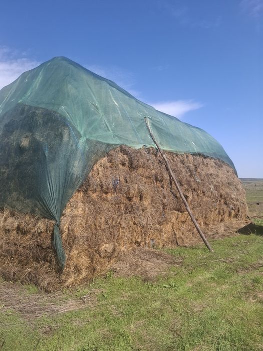 Vând baloate fîn amestecat cu lucernă.