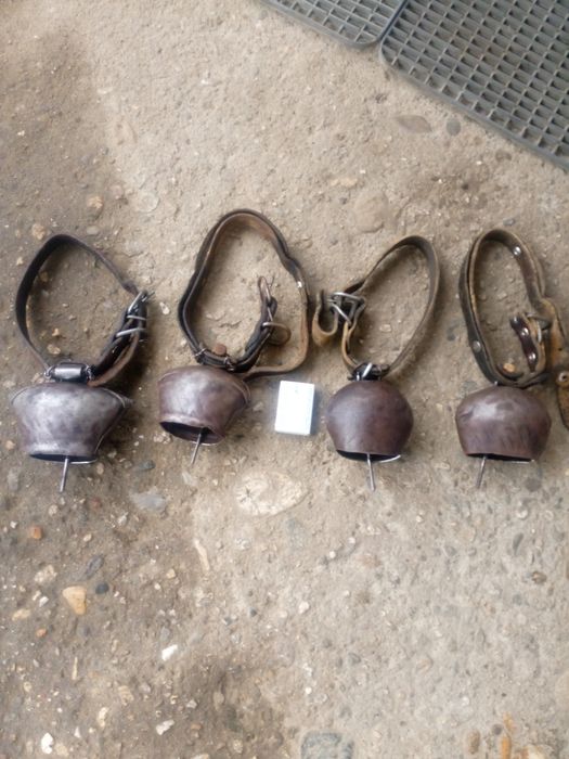 Хлопки Чанове Звънци