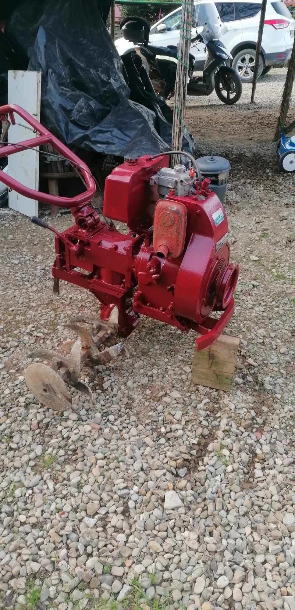 Motosapă diesel.