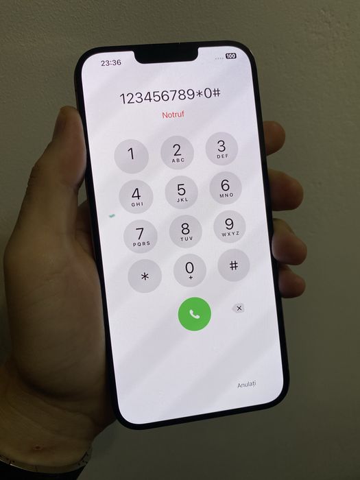  Display Original iPhone 13 Pro Max  *Pixel* [M0846]