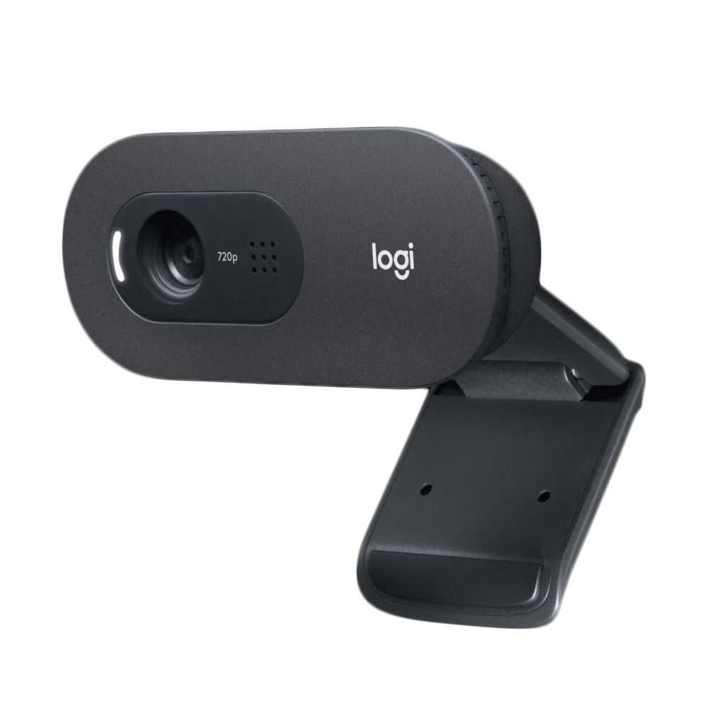 Веб камера - Logitech C505 camera 720p HD