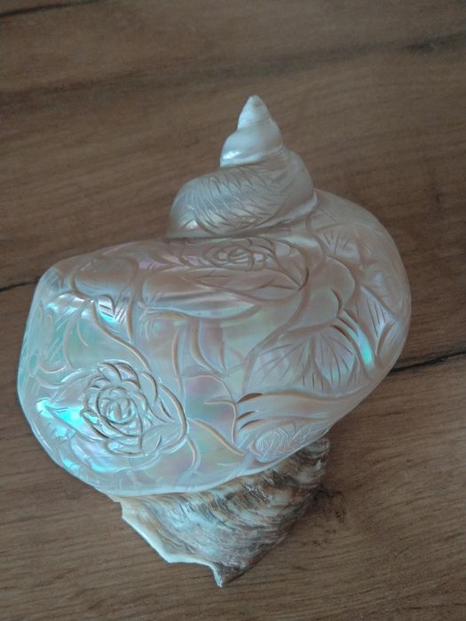 Продавам седефени рапани с ръчна резба върху тях