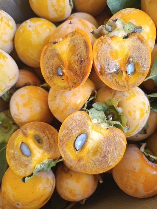 Хурма шоколадная