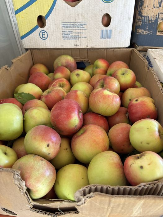 Mǎr idared pentru iarnă