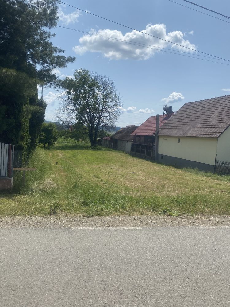 Vindem pamant.
