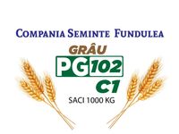 Samanta grau PG 102 C1, Compania Seminte Fundulea, seminte grau