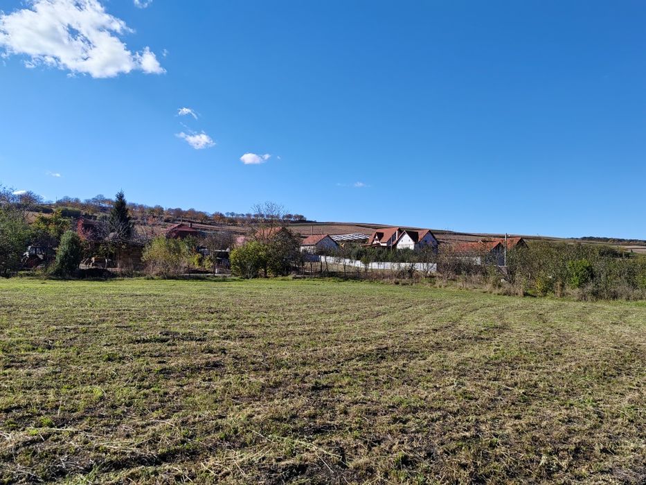 Teren intravilan