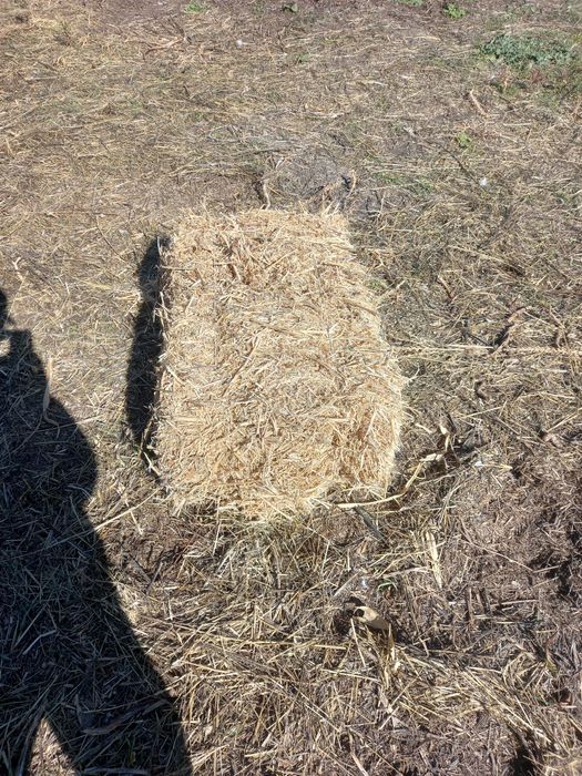 Продам сабан сои в тюквх