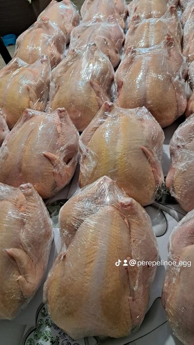 Мясо курицы бройлер.