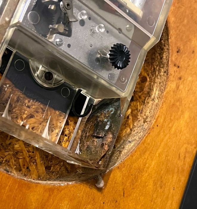 Ceas de perete Yantar CCCP vintage funcțional rar mecanism sovietic