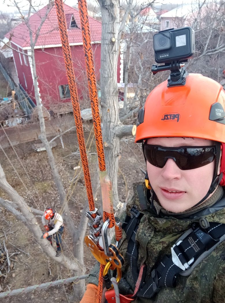 Спил аварийных деревьев, обрезка