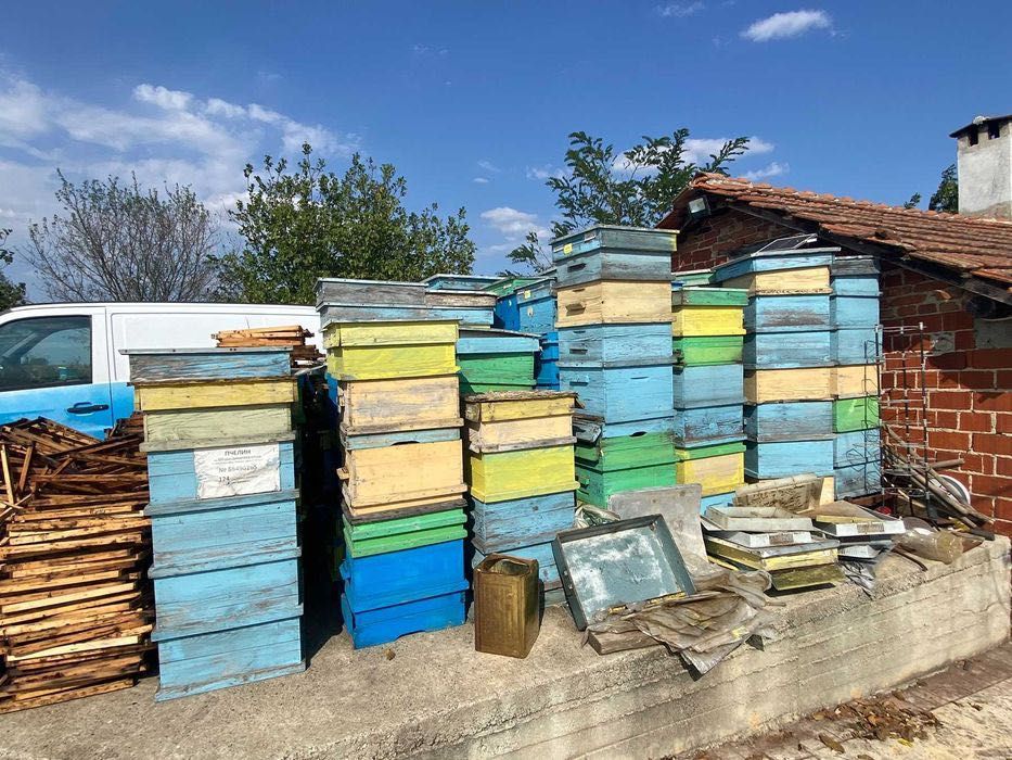 Пчелни кошери, корпуси и рамки