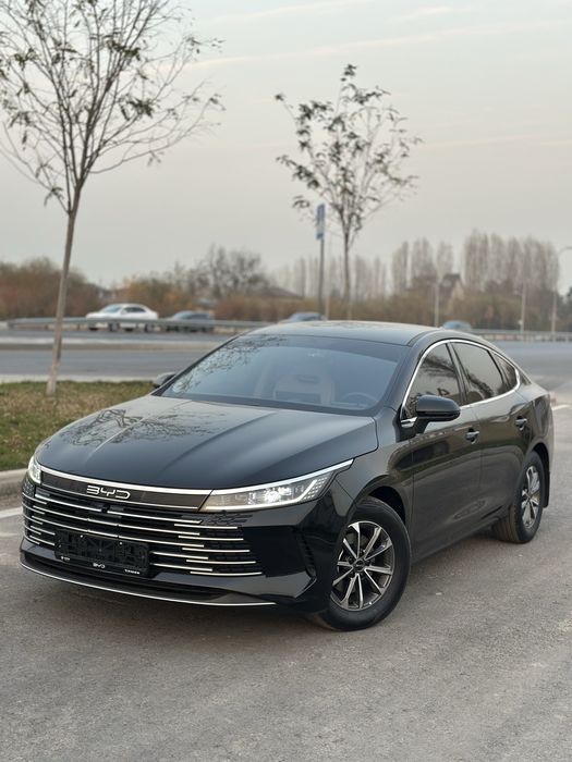 BYD chazor 2025 55 Active