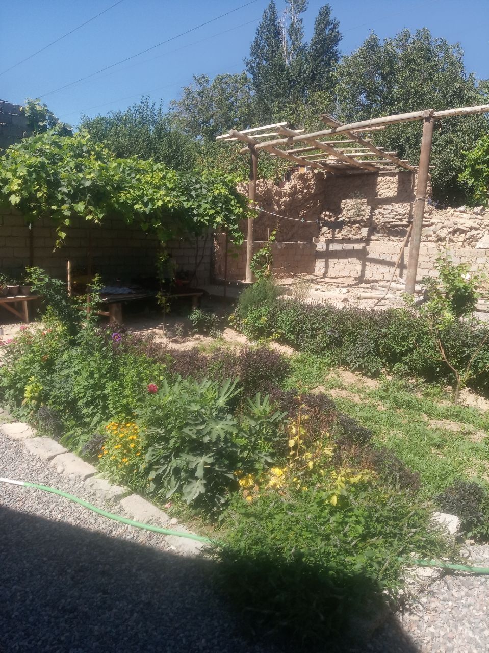 Uchaska sotiladi