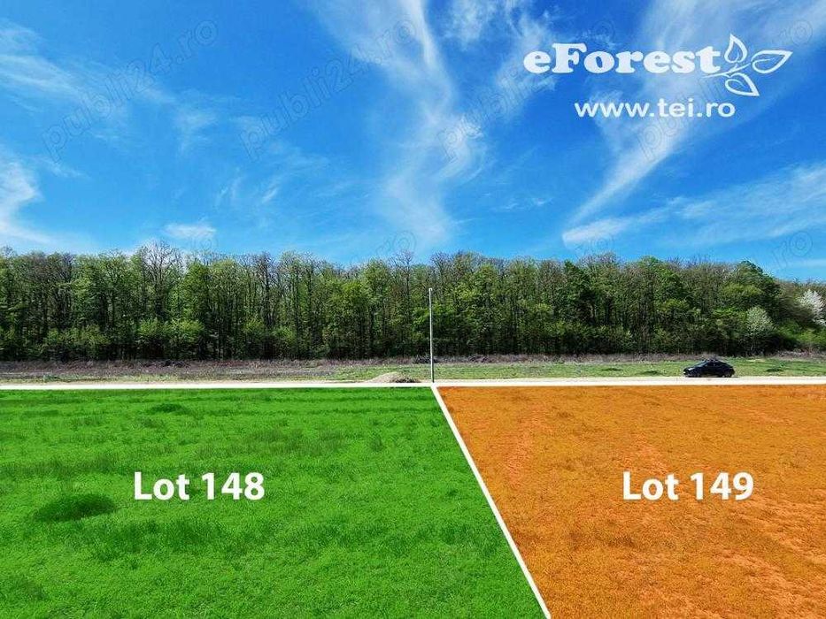 Loturi de casă 720 - 900 mp, langă Pădure în eForest, acces asfaltat