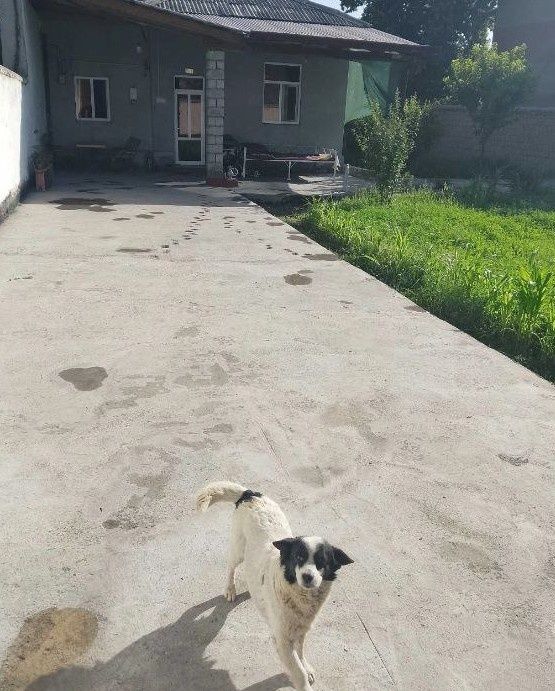 Продаётся Дом Коттедж