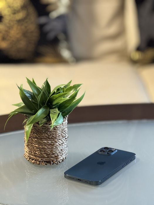 iPhone 12 Pro - Pacific Blue