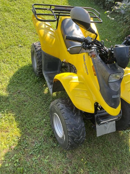 Vand atv Dinli 110 cm