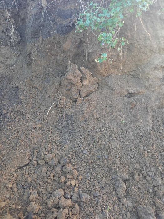 плодородна почва от изкоп