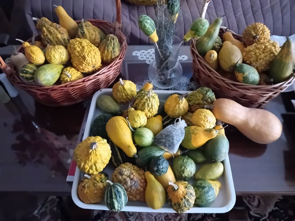 Градина , украса