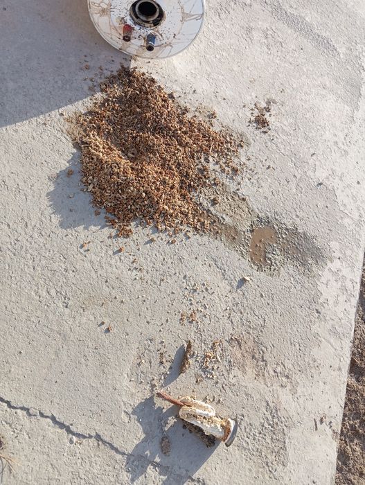 Ustachilik ishlari bõlsa qilamiz Xorazim boylap