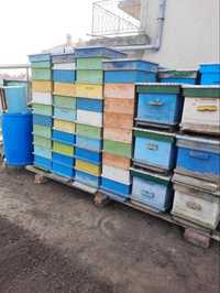 Пчелни кошери с един магазин