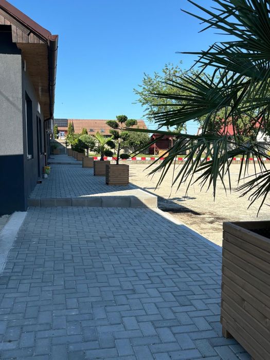 Banca stradala / banca parc / ghivece si jardiniere lemn / plante