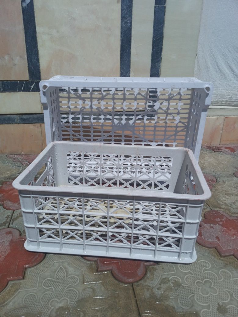 Optom yashikpar hammasidan bor qancha kerak bòsa