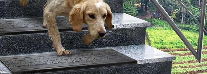 Резиновые накладки на ступень 4500тг/шт.